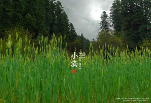 PPT教程,PPT图片,PPT文字排版,PPT背景图片,PPT制作