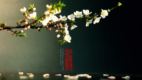 PPT教程,PPT图片,PPT文字排版,PPT背景图片,PPT制作