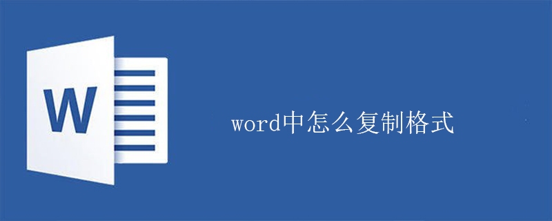 word中怎么复制格式