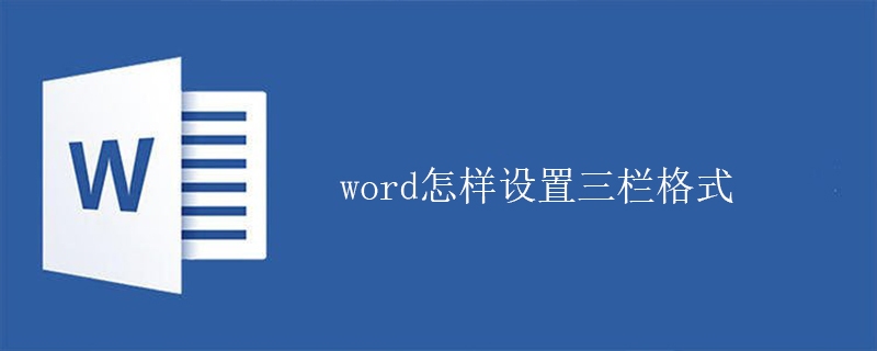 word怎样设置三栏格式